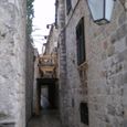 Imgp0208