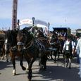 Imgp0506