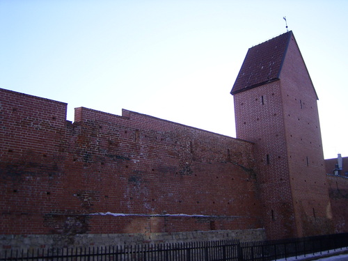 Rimg0017_1