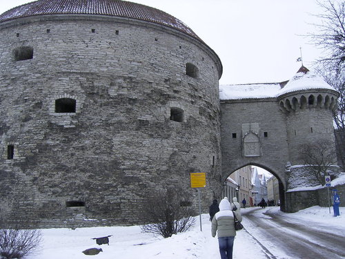 Rimg0041_1
