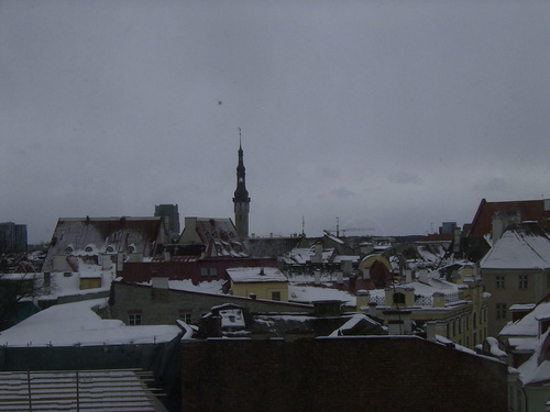 Rimg0051_1