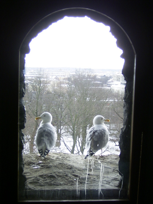 Rimg0077_1