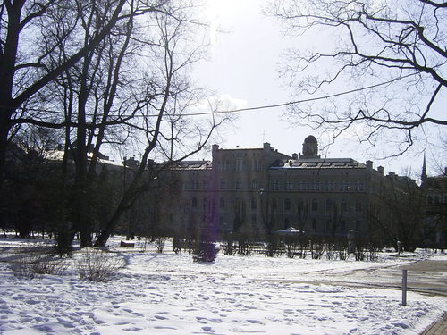 Rimg0079_2