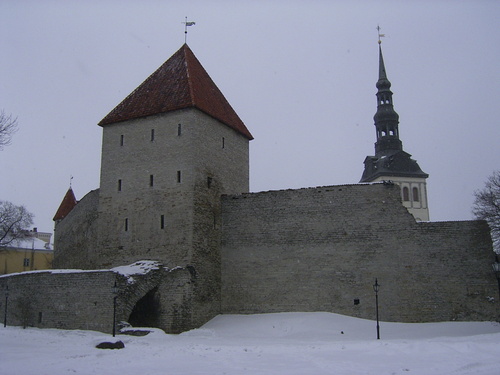 Rimg0081_1