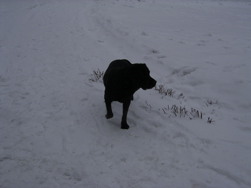 Rimg0082_1