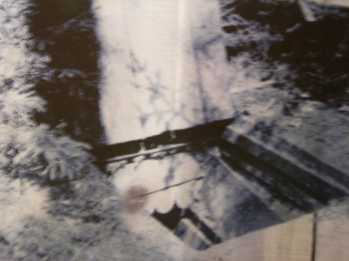 Rimg0127