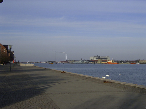 Rimg0278