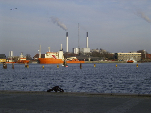 Rimg0282