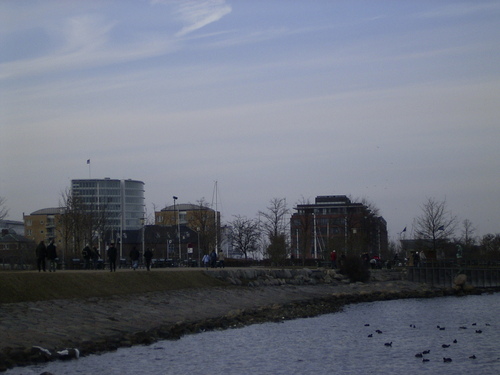 Rimg0294