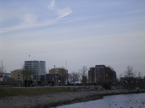 Rimg0295