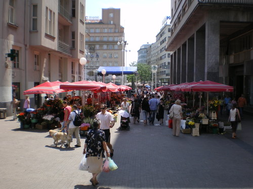 Imgp0110