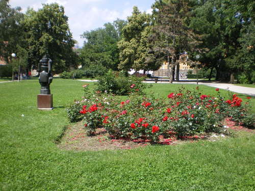 Imgp0116