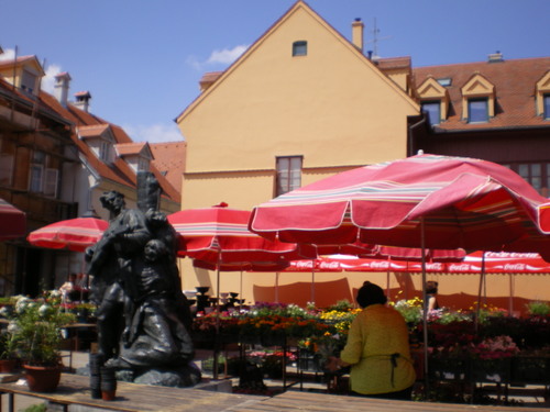 Imgp0121