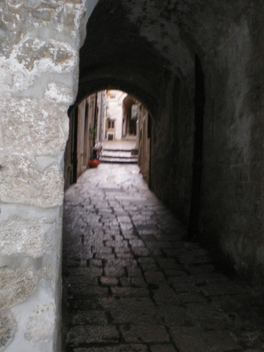 Imgp0204