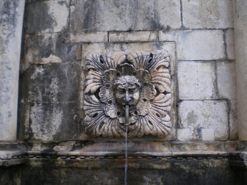 Imgp0216