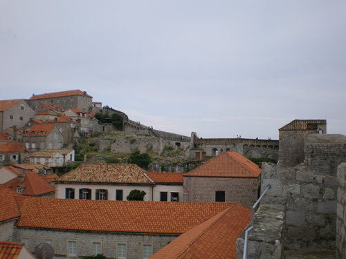 Imgp0226