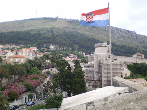 Imgp0233