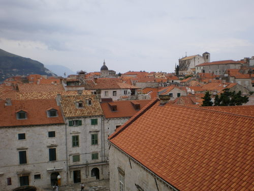 Imgp0234
