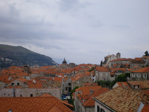 Imgp0236