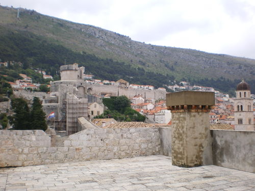 Imgp0239