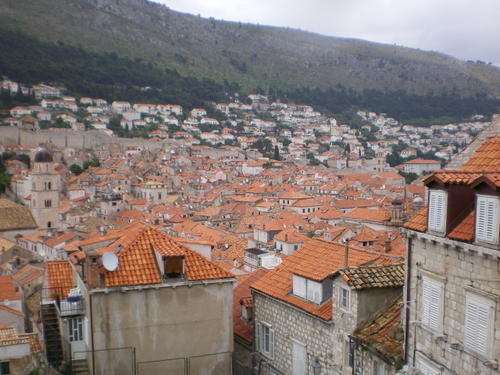 Imgp0246