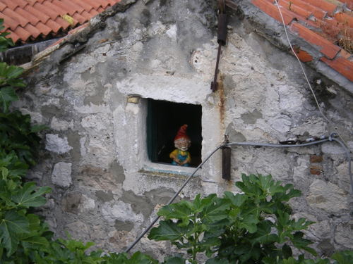 Imgp0247