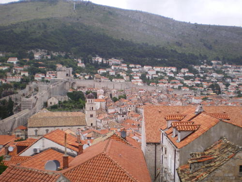 Imgp0248