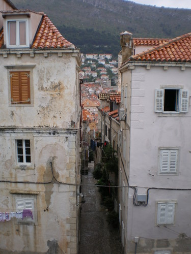 Imgp0260