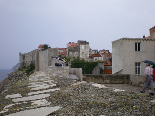 Imgp0263