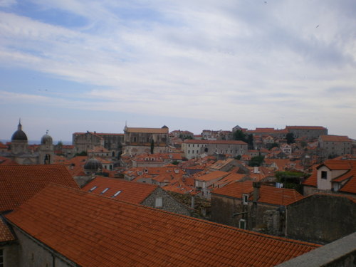 Imgp0294