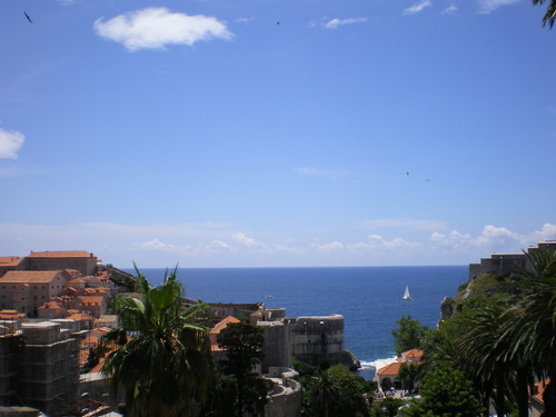Imgp0313