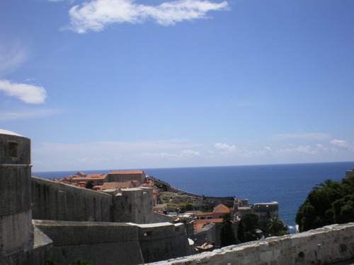 Imgp0317