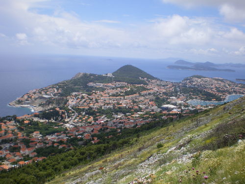 Imgp0333