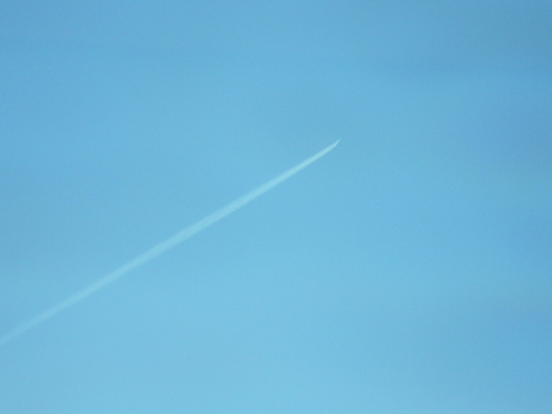 Imgp0435