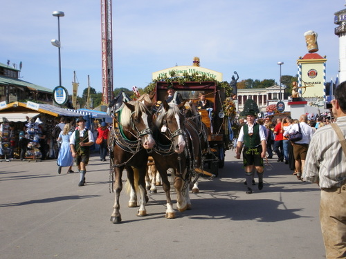 Imgp0501