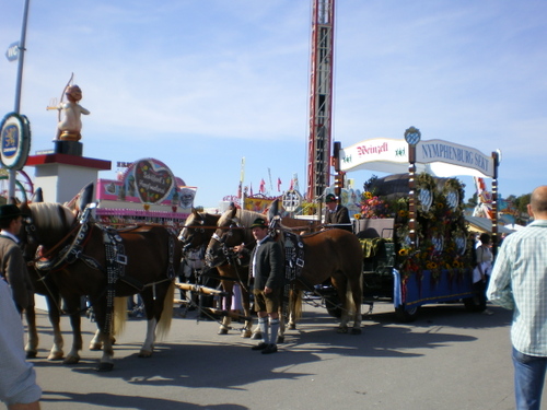 Imgp0505