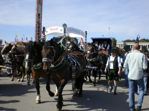 Imgp0506