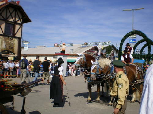 Imgp0518