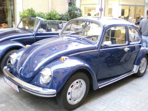 Imgp0565