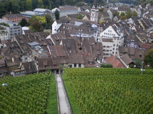 Imgp0607