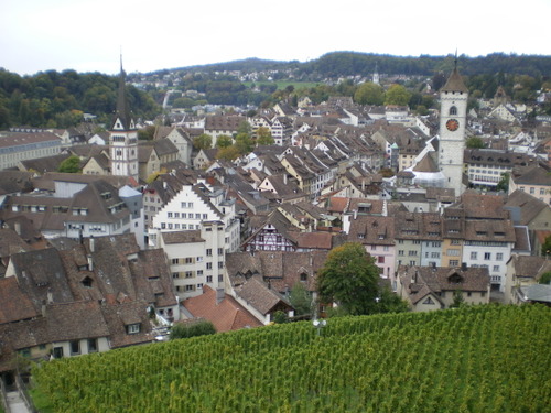 Imgp0608