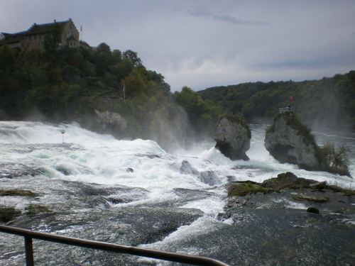 Imgp0611