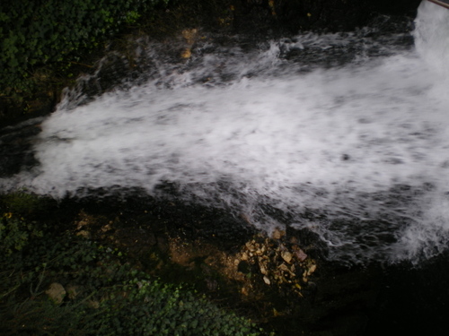 Imgp0618