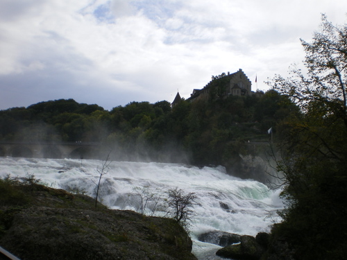 Imgp0619